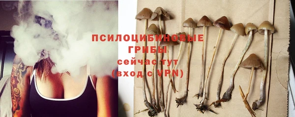 круглые Алзамай