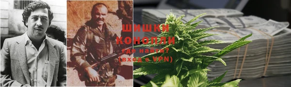 ГАЛЛЮЦИНОГЕННЫЕ ГРИБЫ Алексин