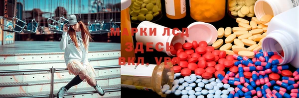 ГАЛЛЮЦИНОГЕННЫЕ ГРИБЫ Алексин